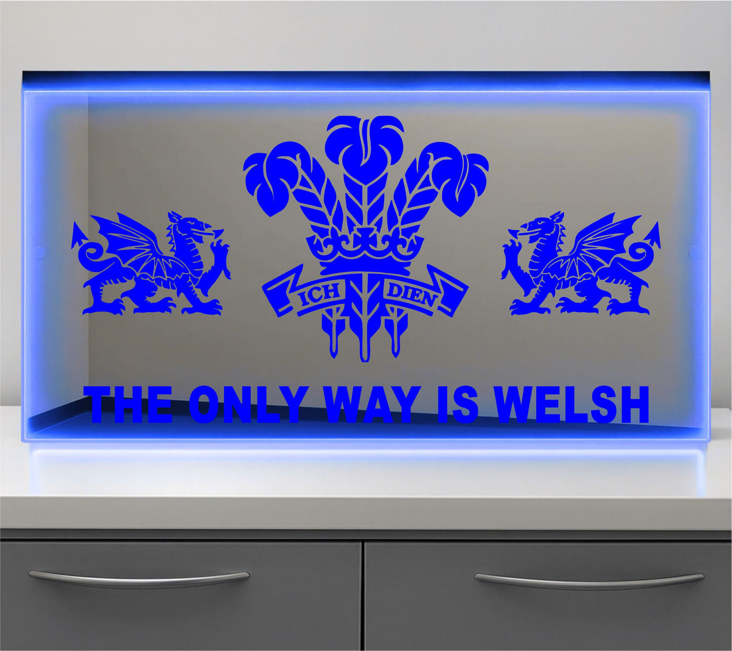 The only way is Welsh Regiment Bulkhead LED Mirror Light – Customisable RGB Display
