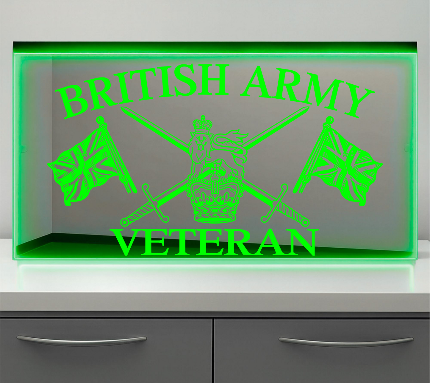 British Army Veteran Bulkhead LED Mirror Light – Customisable RGB Display