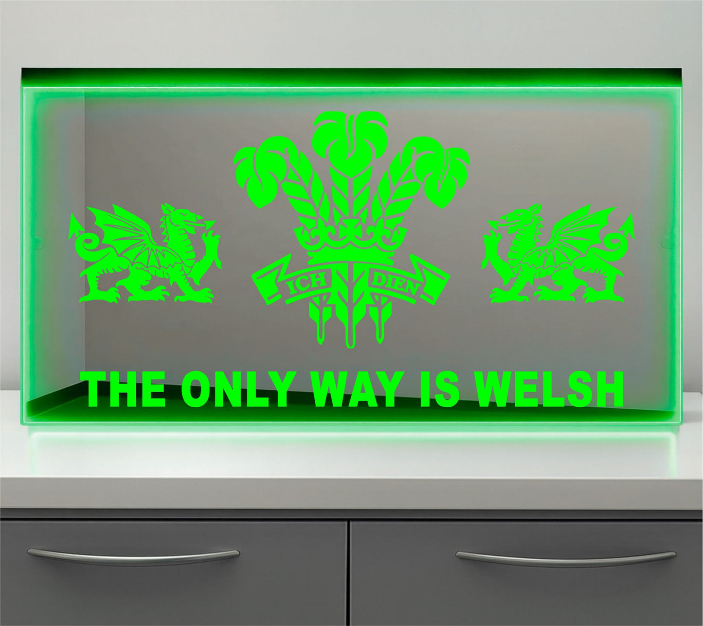 The only way is Welsh Regiment Bulkhead LED Mirror Light – Customisable RGB Display
