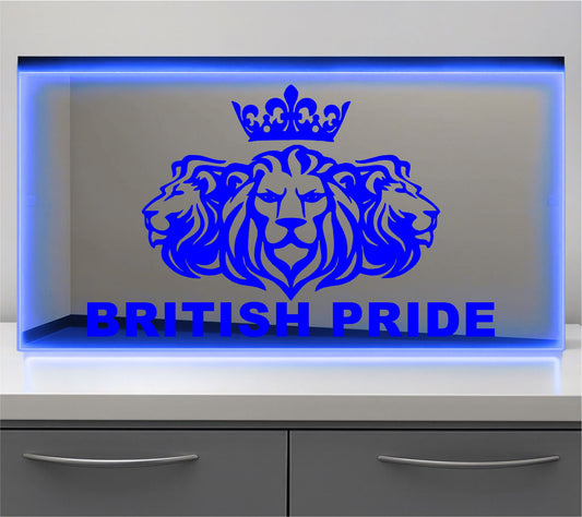 British Pride Bulkhead LED Mirror Light – Customisable RGB Display
