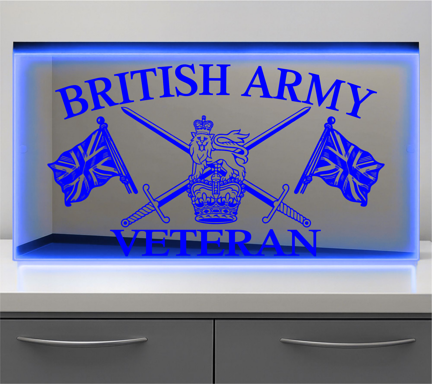 British Army Veteran Bulkhead LED Mirror Light – Customisable RGB Display
