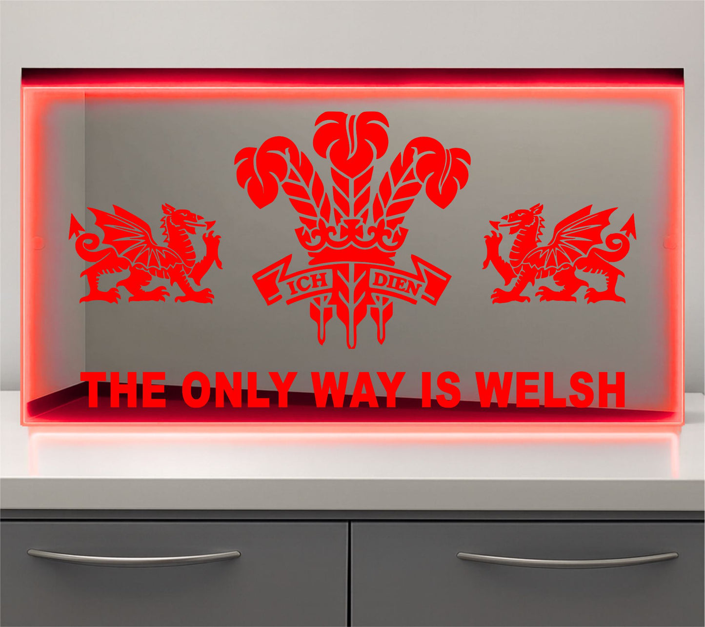 The only way is Welsh Regiment Bulkhead LED Mirror Light – Customisable RGB Display